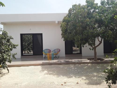 two chairs and a tree in front of a building at Chambre d'hôte les vacanciers in Nianing
