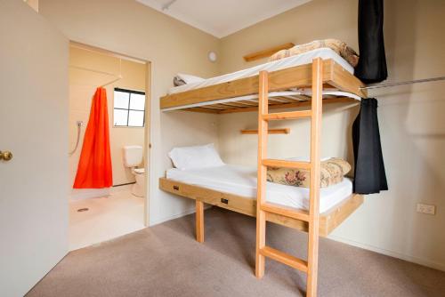 a bunk bed in a room with a bathroom at The Prince Albert Backpackers & Bar in Nelson
