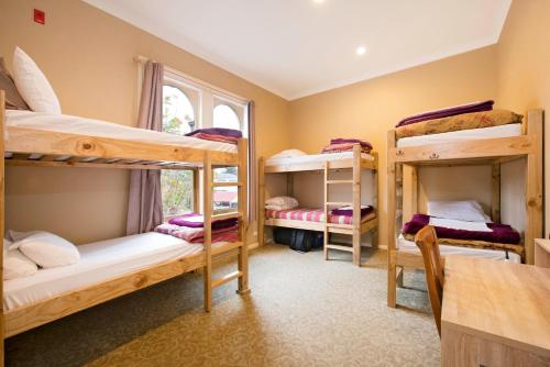 מיטה או מיטות קומותיים בחדר ב-The Prince Albert Backpackers & Bar