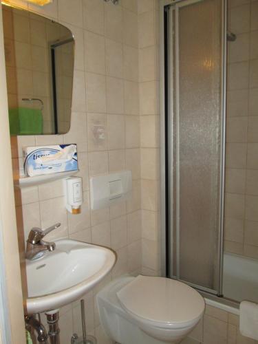 a bathroom with a sink and a toilet and a shower at Landhotel Karrenberg in Kirchberg