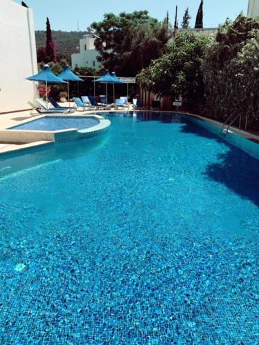 a large blue swimming pool with chairs and umbrellas at Bodrum Blu Hotel in Bodrum City