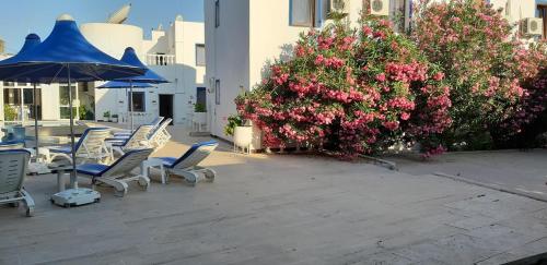 a group of chairs and umbrellas on a patio with flowers at Bodrum Blu Hotel in Bodrum City