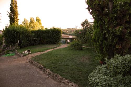 Gallery image of Agriturismo San Mauro in Capalbio