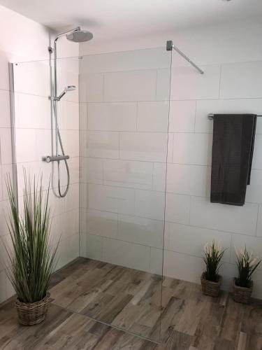 a shower with a glass door and two potted plants at Apart Seegras in Büsum
