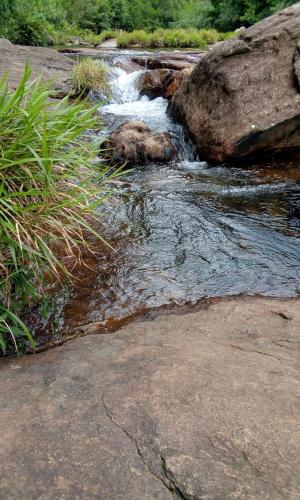 a stream of water with rocks and grass at Lavendra Guset House in Adams Peak