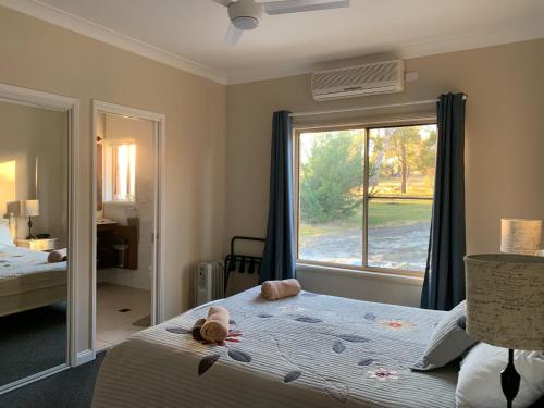 a bedroom with a bed and a large window at Bryn Glas Farm Stay in Moruya
