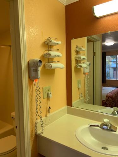 a bathroom with a sink and a mirror and a hair dryer at Budget Motel in Mountain View