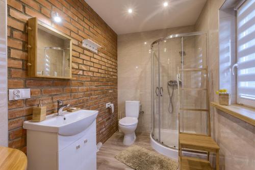 uma casa de banho com um chuveiro, um lavatório e um WC. em KTA TARPAN Mały Domek em Masiewo