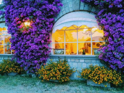 Un mazzo di fiori viola appesi a un lato di un edificio di Tenuta Villa Tara a Ischia