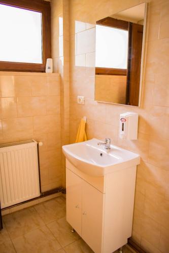 a bathroom with a sink and a mirror at Pensiunea La Cernat in Şugag