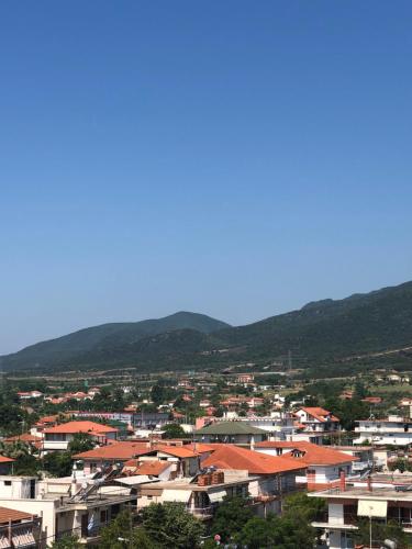 Fotografie z fotogalerie ubytování Villa Un bel posto Sea View v destinaci Nea Vrasna