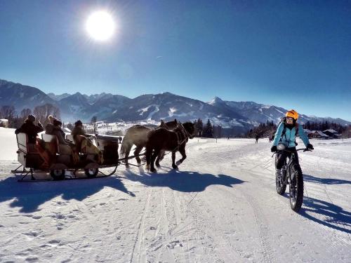 a person on a bike pulling a horse drawn carriage at Appartement Panorama in Gröbming