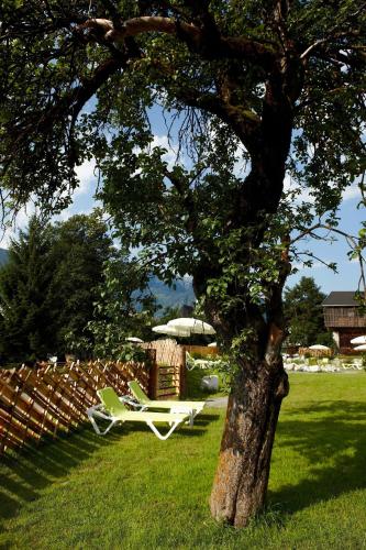 a chair and an umbrella sitting next to a tree at Appartements Kammerlander in Neukirchen am Großvenediger
