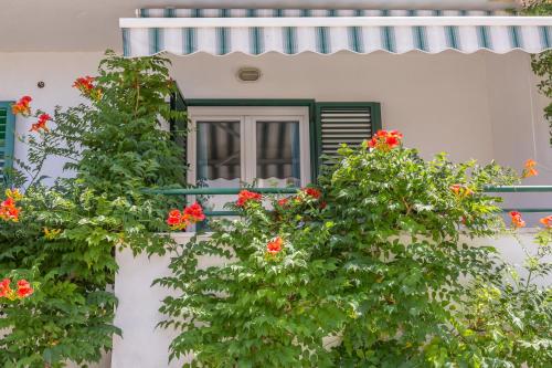 a window with red flowers on a white house at Apartmani Marko in Tučepi