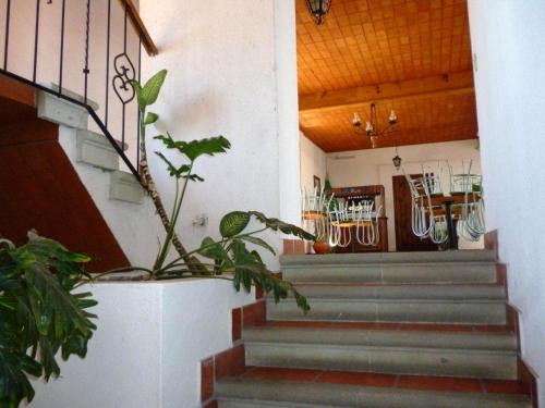 Fotografie z fotogalerie ubytování Parador Monte Carmelo v destinaci Oaxaca