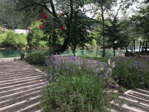 a garden with purple flowers next to a body of water at ATRIUM Holiday home in Bihać
