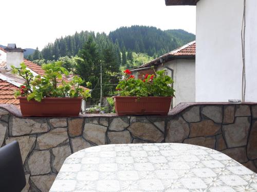 Φωτογραφία από το άλμπουμ του Guest house Denitsa σε Trigrad