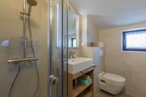 a bathroom with a shower and a toilet and a sink at Apartment Lungera in Pula