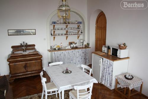 Fotografie z fotogalerie ubytování Bacchus Apartman - Borbarlang, Badacsony v destinaci Badacsonytomaj