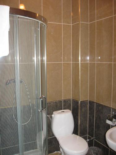a bathroom with a toilet and a shower and a sink at Hotel Mirage in Sudovaya Vishnya