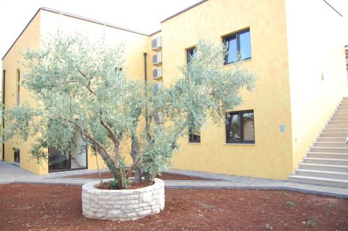 a tree in a pot in front of a building at Villa Alpa in Umag