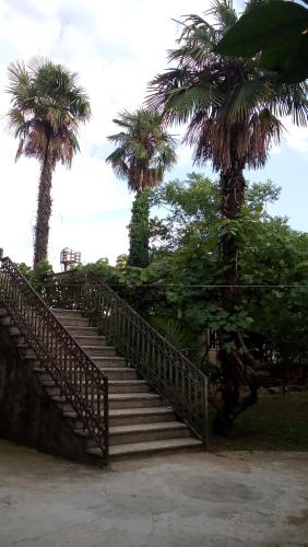 Jardín al aire libre en Elco