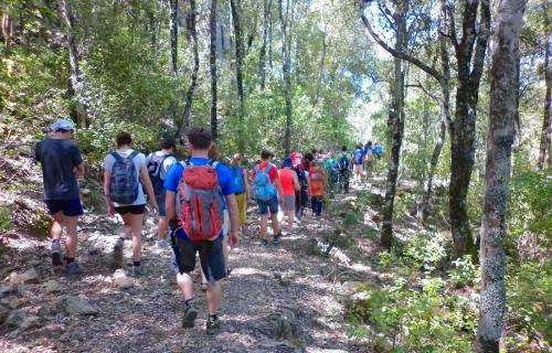 un grupo de personas caminando por un sendero en el bosque en Sardinia Climbing House, en Ulassai