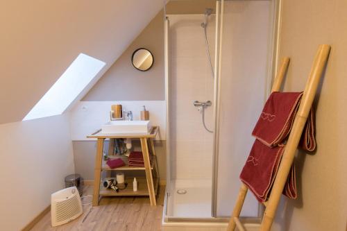 a bathroom with a shower and a sink at Le nid du Kaloui in Fréland