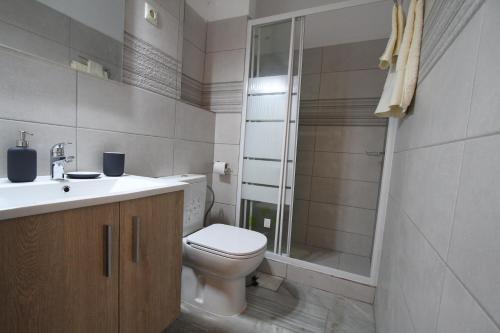 W łazience znajduje się toaleta, umywalka i prysznic. w obiekcie Katerina's w mieście Néa Palátia
