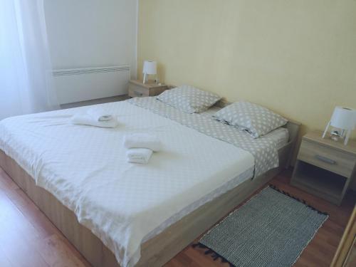a bedroom with two beds with towels on them at APP EMONA in Bašanija