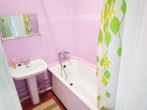 モスクワにあるАпартаменты улица Автозаводскаяのピンクのバスルーム(シンク、バスタブ、トイレ付)