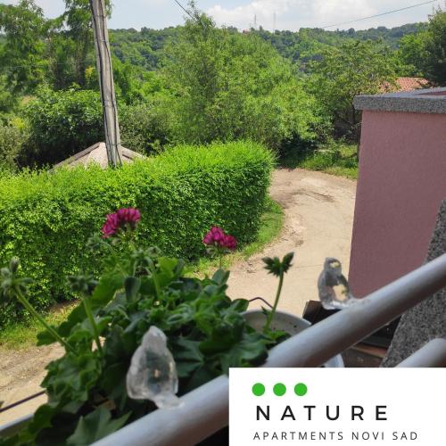 a view of a garden with flowers on a balcony at Just nature in Novi Sad