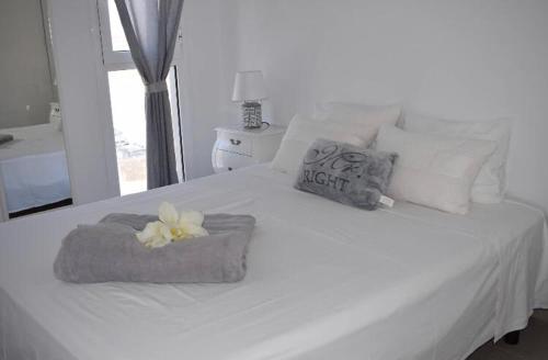 APARTAMENTO MAGNIFIK