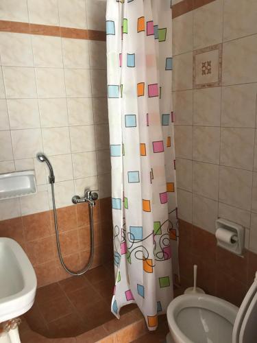 a bathroom with a shower curtain and a toilet at Natalia Studios in Poros
