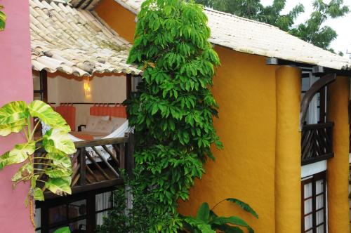 a green plant growing on the side of a building at Pousada Dos Artistas in Praia do Forte