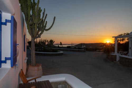 Gallery image of Stavroula Studios in Glastros