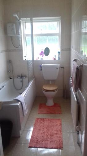 a bathroom with a toilet and a tub and a window at Ashling House Ardara on Wild Atlantic Way F94T6N7 in Ardara