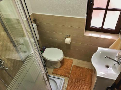 a bathroom with a toilet and a shower and a sink at Bridge Apartment in Kratovo