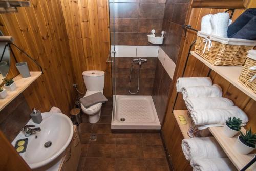 a bathroom with a shower and a toilet and a sink at Lotos in Amigdhaleón