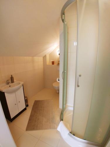 a bathroom with a shower and a sink at Siedlisko Vincent in Szydłów