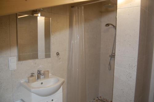 y baño con lavabo y ducha. en Apartament Rybacka12 en Rewa