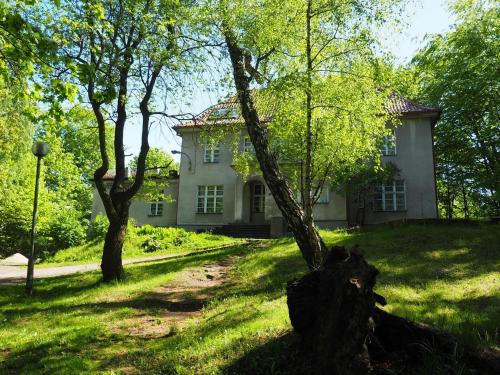 Biały dom z drzewami przed nim w obiekcie BP Hostel Gdynia w mieście Gdynia