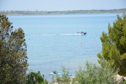 Gallery image of Apartments Beach in Vrsi