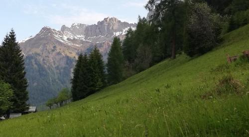 a green grassy hill with a mountain in the background at Tabià Fregona in Fregona