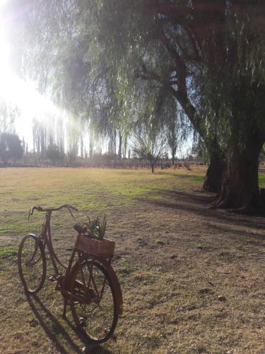 a bike parked in a field under a tree at Entre Acequias in General Alvear