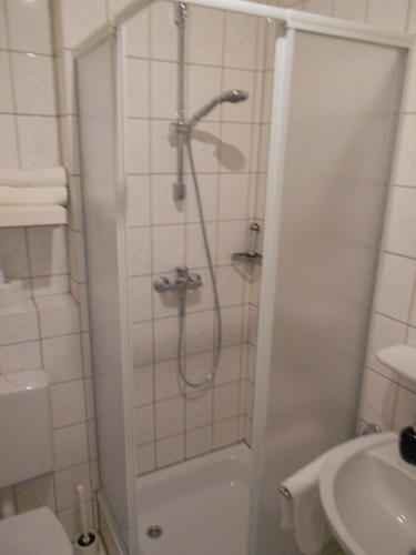 a bathroom with a shower and a sink at Apartment Beethoven in Regensburg