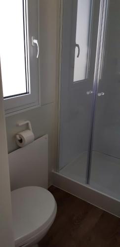 a white bathroom with a toilet and a shower at Mobile Homes and Apartment - Terme Čatež in Čatež ob Savi