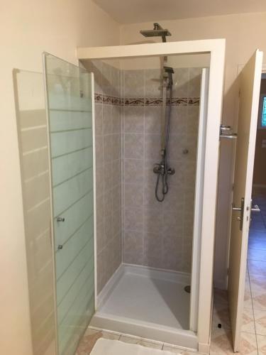 a shower with a glass door in a bathroom at Villa plein pied rez-de-chaussée+1 avec dépendance in Cenon