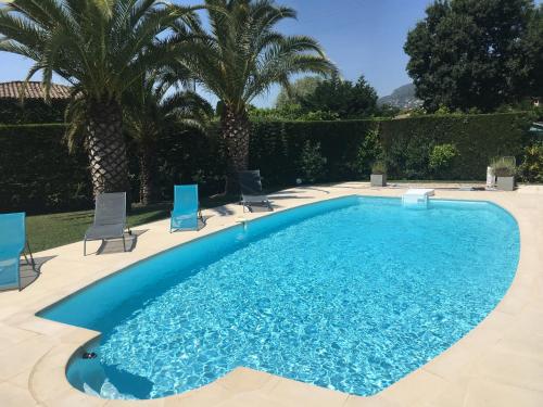 - une piscine avec des chaises bleues et des palmiers dans l'établissement Charmante villa familiale, à Vence