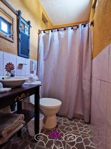 a bathroom with a toilet and a sink at Maison Bougainvillea in Antigua Guatemala